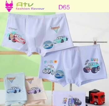 D65 - Quần lót thời trang dành cho trẻ em trai (size L-2XL)